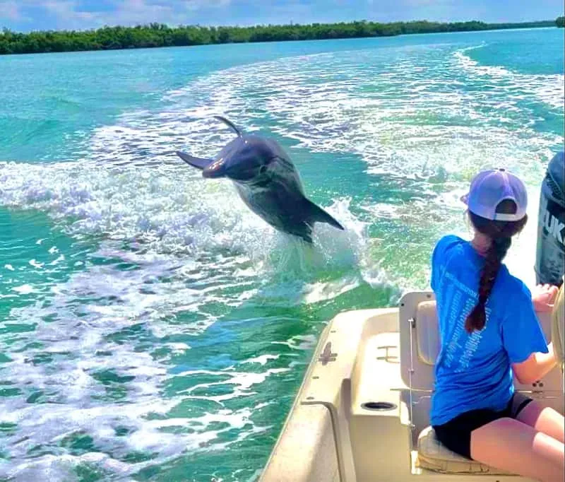 Private Marco Island Boat Tour: Charter Options